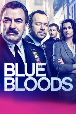 Poster for Blue Bloods: Season 9