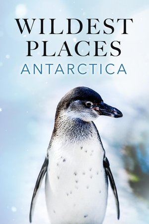 Poster for Wildest Places: Wildest Antarctica