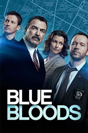 Poster for Blue Bloods: Season 8