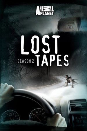 Poster for Lost Tapes: Season 2