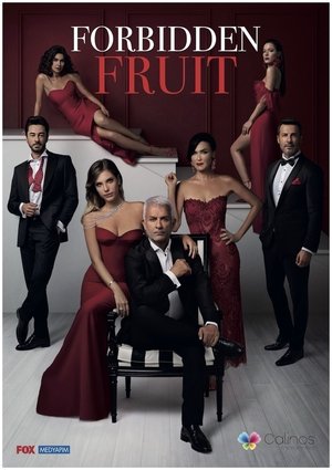 Poster for Yasak Elma: Season 4