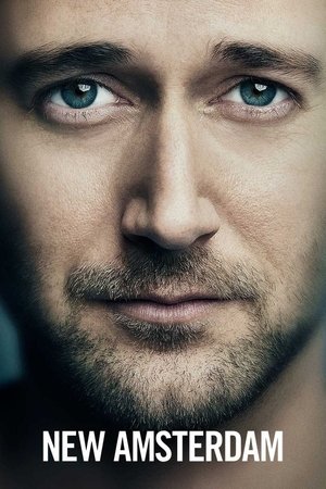 Poster for New Amsterdam