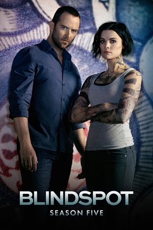 Poster for Blindspot: Season 5