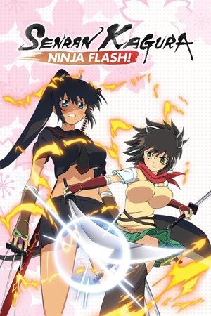 Poster for Senran Kagura: Ninja Flash: Ninja Flash