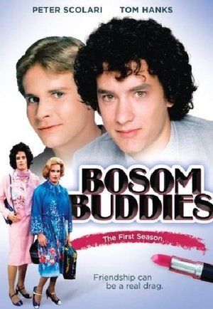 Poster for Bosom Buddies: Season 1