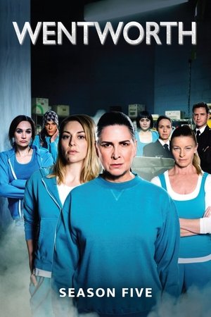 Poster for Wentworth: Season 5