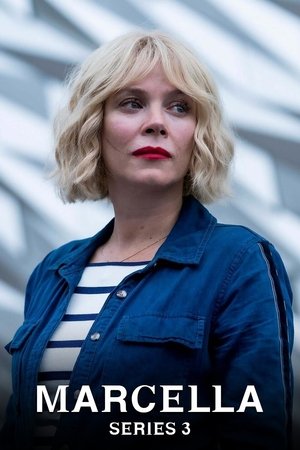 Poster for Marcella: Series 3