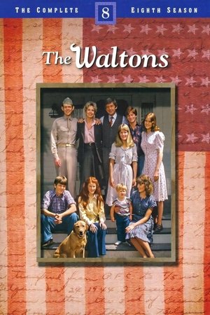 Poster for The Waltons: Season 8