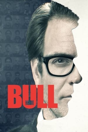 Poster for Bull: Season 1