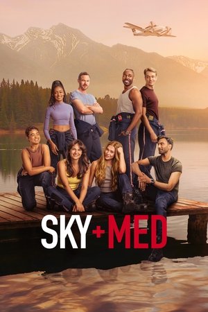 Poster for SkyMed: Season 3
