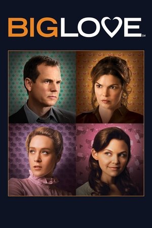 Poster for Big Love: Season 3