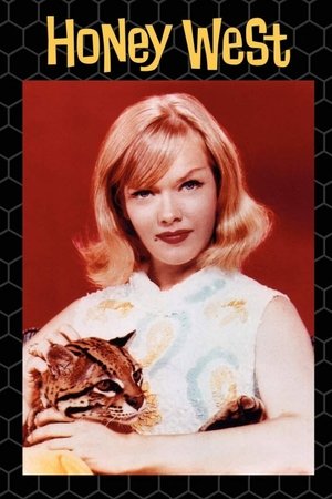 Poster for Honey West: Season 1
