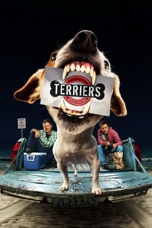 Poster for Terriers: Season 1