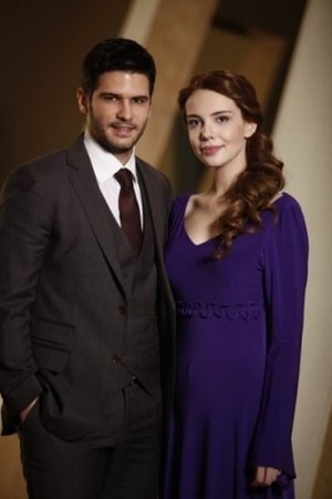 Poster for Lale Devri: Season 4