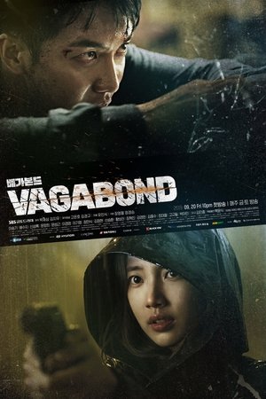 Poster for Vagabond