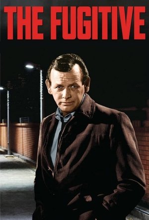Poster for The Fugitive: Season 4
