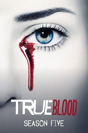 Poster for True Blood: Season 5