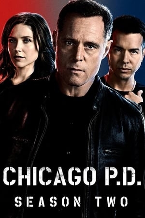Poster for Chicago P.D.: Season 2