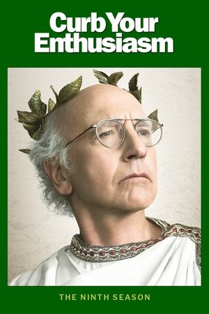 Poster for Curb Your Enthusiasm: Season 9