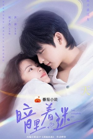 Poster for You Complete Me: Season 1