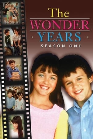 Poster for The Wonder Years: Season 1