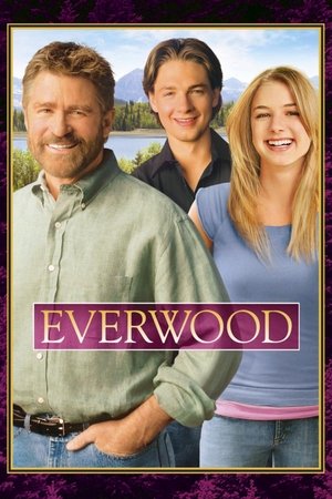 Poster for Everwood: Season 4