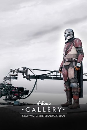 Poster for Disney Gallery / Star Wars: The Mandalorian: Season 1