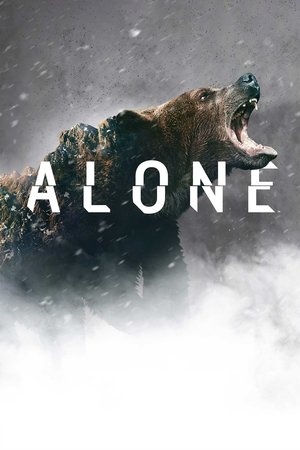 Poster for Alone: Grizzly Mountain