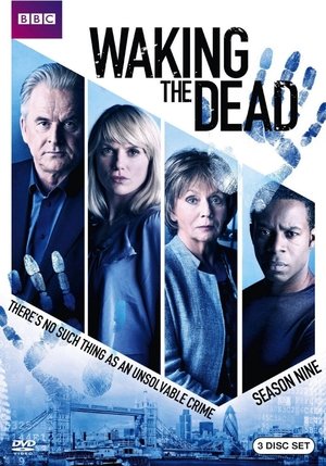 Poster for Waking the Dead: Series 9