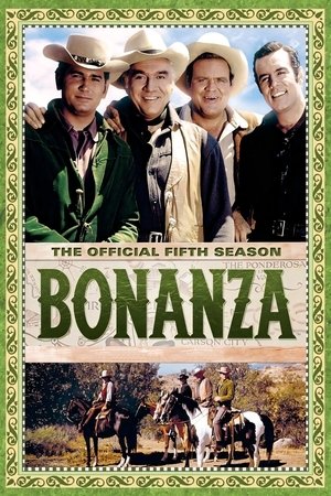 Poster for Bonanza: Season 5