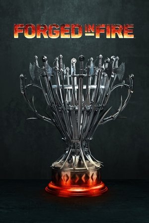 Poster for Forged in Fire: Season 3
