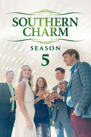 Poster for Southern Charm: Season 5