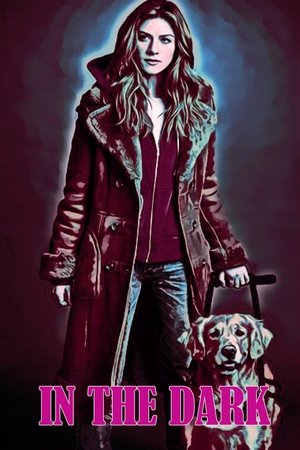 Poster for In the Dark: Season 4