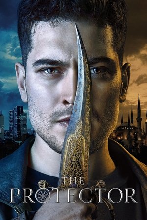 Poster for The Protector: Season 1