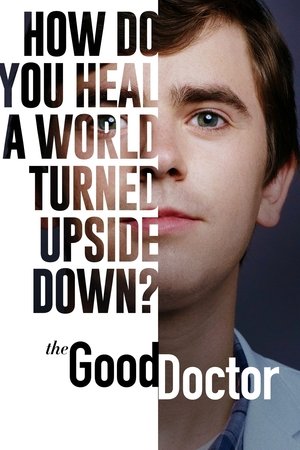 Poster for The Good Doctor: Season 4