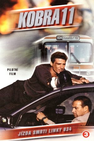 Poster for Alarm for Cobra 11: The Motorway Police: Season 9