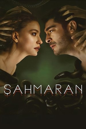 Poster for Shahmaran: Season 1
