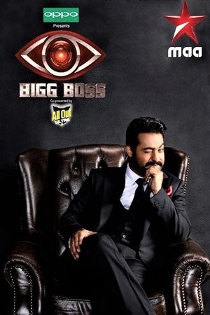Poster for Bigg Boss Telugu: Season 1