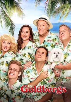 Poster for The Goldbergs: Specials