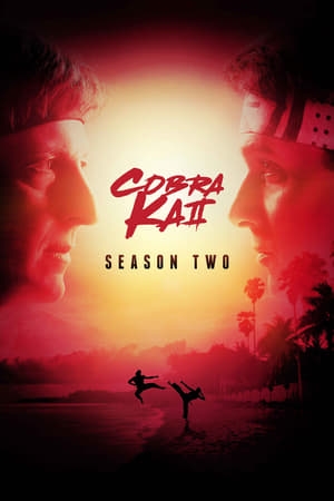 Poster for Cobra Kai: Season 2