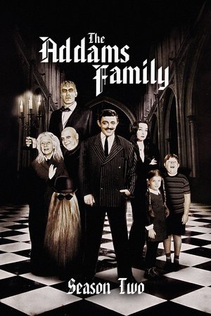 Poster for The Addams Family: Season 2