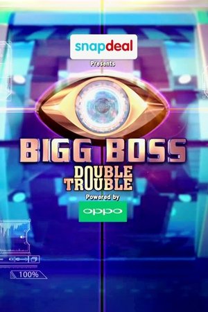 Poster for Bigg Boss: Season 9