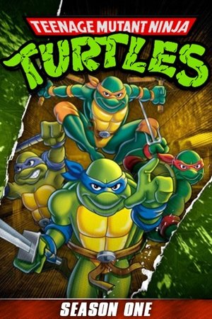 Poster for Teenage Mutant Ninja Turtles: Season 1