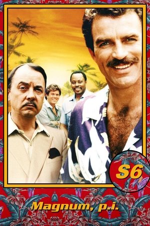 Poster for Magnum, P.I.: Season 6