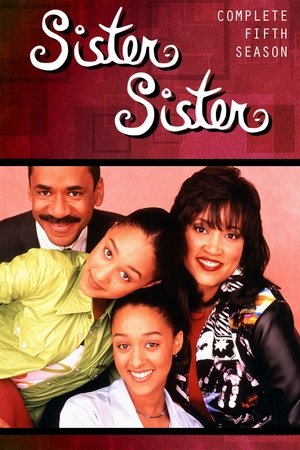Poster for Sister, Sister: Season 5
