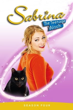 Poster for Sabrina, the Teenage Witch