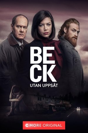 Poster for Beck: Season 6