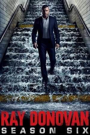 Poster for Ray Donovan: Season 6