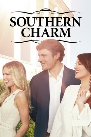 Poster for Southern Charm: Season 6