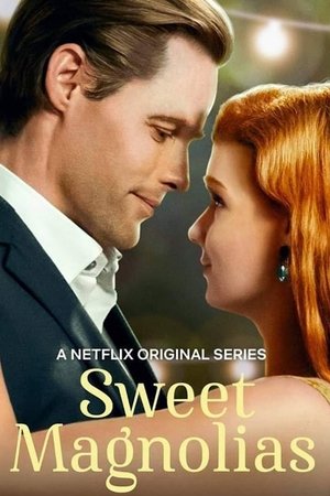 Poster for Sweet Magnolias: Season 1